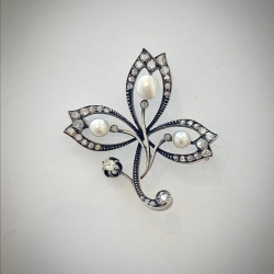 Screenshot_20190822_114327